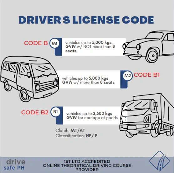 DL Code B, B1, and B2: What Is the Difference?