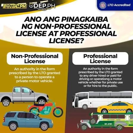 Professional vs Non-Professional License