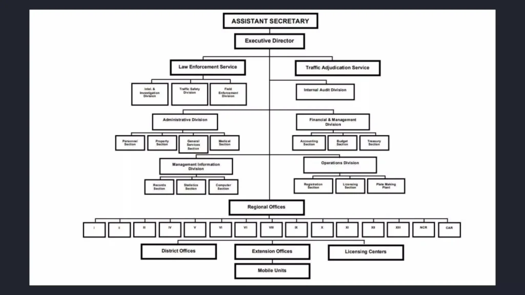 Main Functions and Responsibilities of the LTO